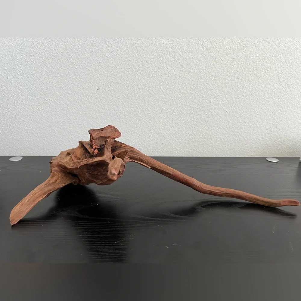 Natural Driftwood Sculpture